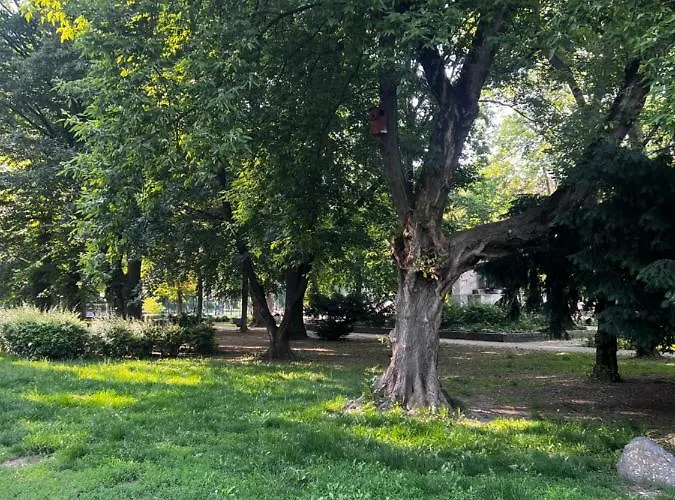 Vm56 * Budapeşte
